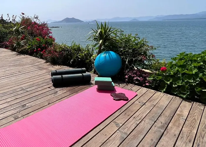 Sofia Ada Bed and Breakfast Φετιγιέ