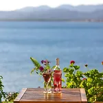 ベッド・アンド・ブレックファスト Sofia Ada