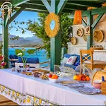 Sofia Ada フェティエ