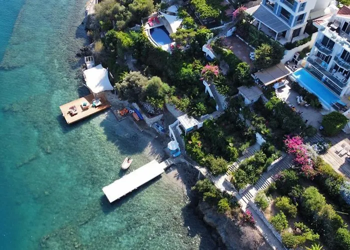 Sofia Ada 4* 费特希耶